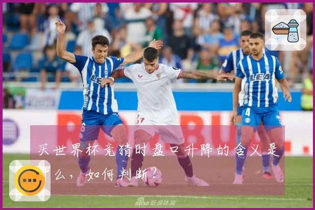 买世界杯竞猜时盘口升降的含义是什么，如何判断？