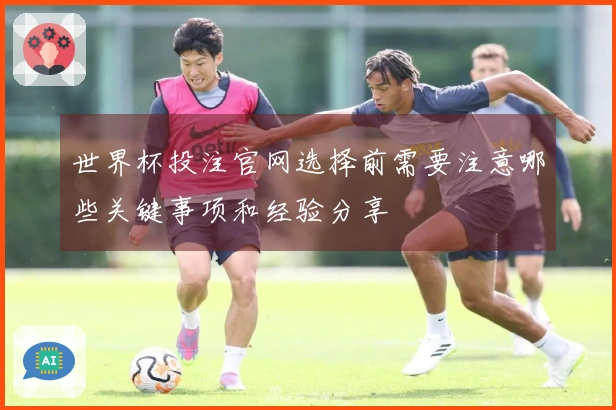 世界杯投注官网选择前需要注意哪些关键事项和经验分享