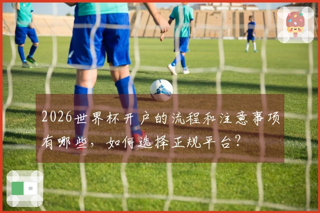 2026世界杯开户的流程和注意事项有哪些，如何选择正规平台？