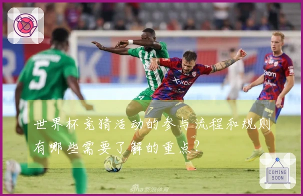 世界杯竞猜活动的参与流程和规则有哪些需要了解的重点？