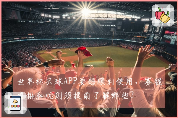 世界杯买球APP要想顺利使用，赛程安排和规则须提前了解哪些？