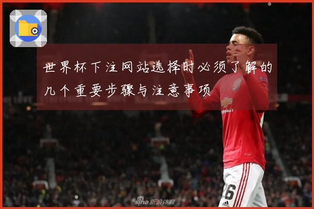世界杯下注网站选择时必须了解的几个重要步骤与注意事项